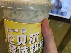 -茉酸奶(春熙路店)