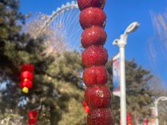 -北京石景山游乐园