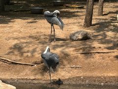 -鄂尔多斯野生动物园