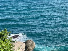 -三亚蜈支洲岛旅游区