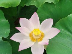 -毛泽东才溪乡调查旧址景区