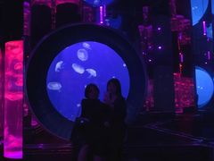 -成都浩海立方海洋公园