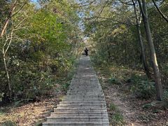 -桃花岭景区