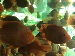 -重庆动物园·东二门售票处