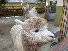 -华谊兄弟（长沙）电影小镇