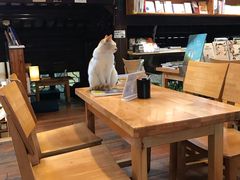 -猫的天空之城概念书店(苏州平江店)