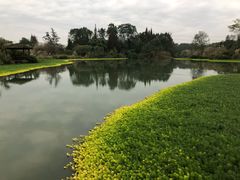 -桤木河湿地公园