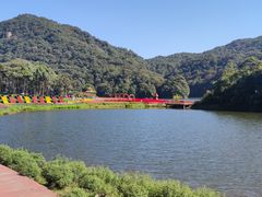 -广州市石门国家森林公园