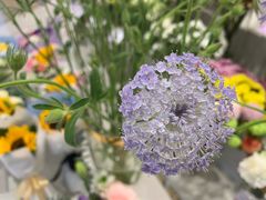 -花邻FloweringLife花艺气球派对(武康大楼店)