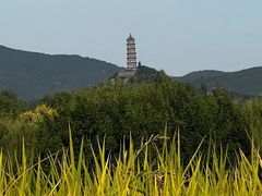 -北坞公园