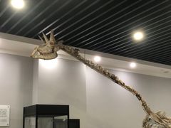 -游龙石文化科普馆