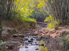 -田心森林公园