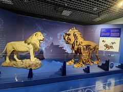 -国家自然博物馆