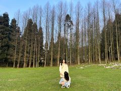 -武陵山森林公园