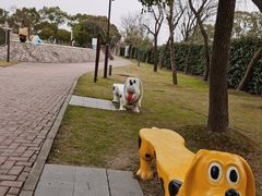 -上海佘山世茂艾美酒店