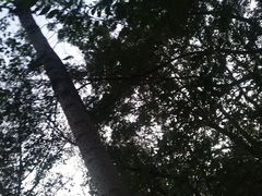 -海底捞火锅(公益西桥店)