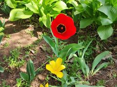 -长春公园(普阳街道)