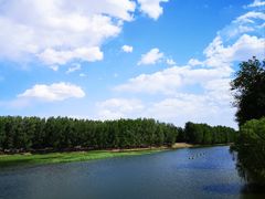 -天津武清北运河郊野公园房车露营地