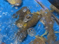 -徐记海鲜(大雁塔|金都店)
