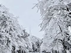 -南岳衡山风景名胜区