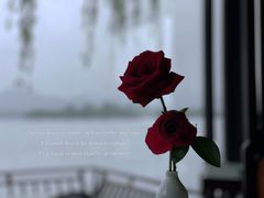 -柳莺湖上·湖景餐厅·江南菜(西湖店)