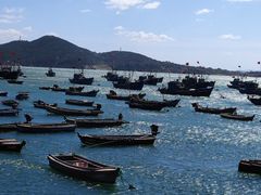-海源公园