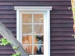 -三鹰之森吉卜力美术馆