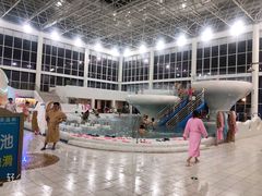 -世界恐龙谷景区
