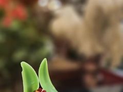 -北京贵宾楼饭店 红墙咖啡厅