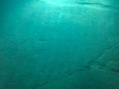 -白鹤梁水下博物馆