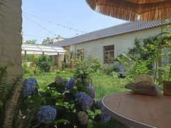 -Jo's Garden