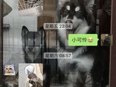 -北京佳信宠物医院