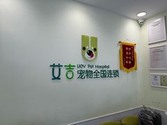 -艾吉宠物医院·疑难杂症转诊中心·猫友好(碧江路院)