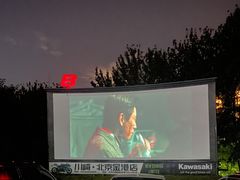 -枫花园汽车电影院(朝阳公园店)