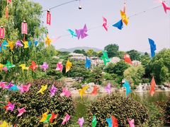 -北京西山国家森林公园