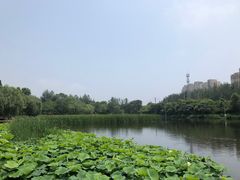 -前关湿地公园