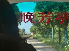-七的湖·晚芳亭·阳澄湖农家菜·大闸蟹(莲花岛店)