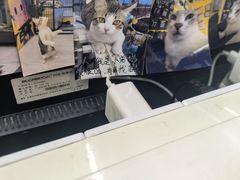-谜盒子奇幻密室(南屏店)