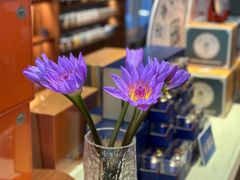 -华祥苑茶业·茶馆茶室(翠竹路店)