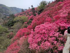 -木兰云雾山