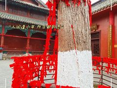 -黔灵山公园