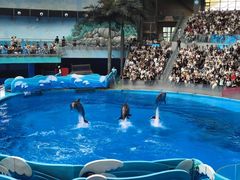 -海合安成都极地海洋公园