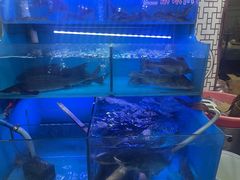 -韩妹鱼庄·泸定老字号(泸定店)