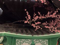 -荷塘秋月·本帮江浙菜(国权路店)