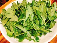 -草原三宝汤锅