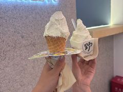 -野人先生现做冰淇淋(北京环宇荟店)