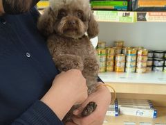 -宠福鑫康馨动物医院·骨科·眼科