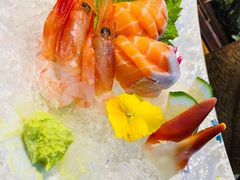 -森味薪火烧•烧鸟居酒屋•日本料理(望京店)