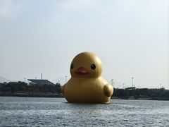 -深圳人才公园