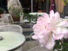-Sarah西点·烘焙·餐厅(翰林府旗舰店)